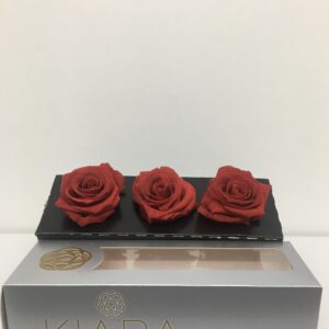 Rosa Preservata Premium Ø 9 Cm (cf Da 3 Pz) Rossa